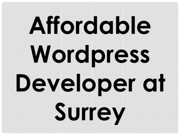 Affordable Wordpress Developer at Surrey