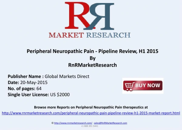 Peripheral Neuropathic Pain Therapeutics Assessment 2015