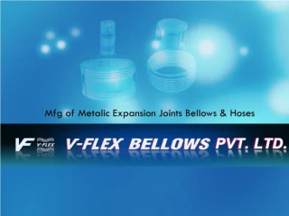 Stainless steel bellows - slide 1