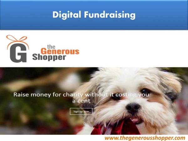 Digital Fundraising – The Generous Shopper