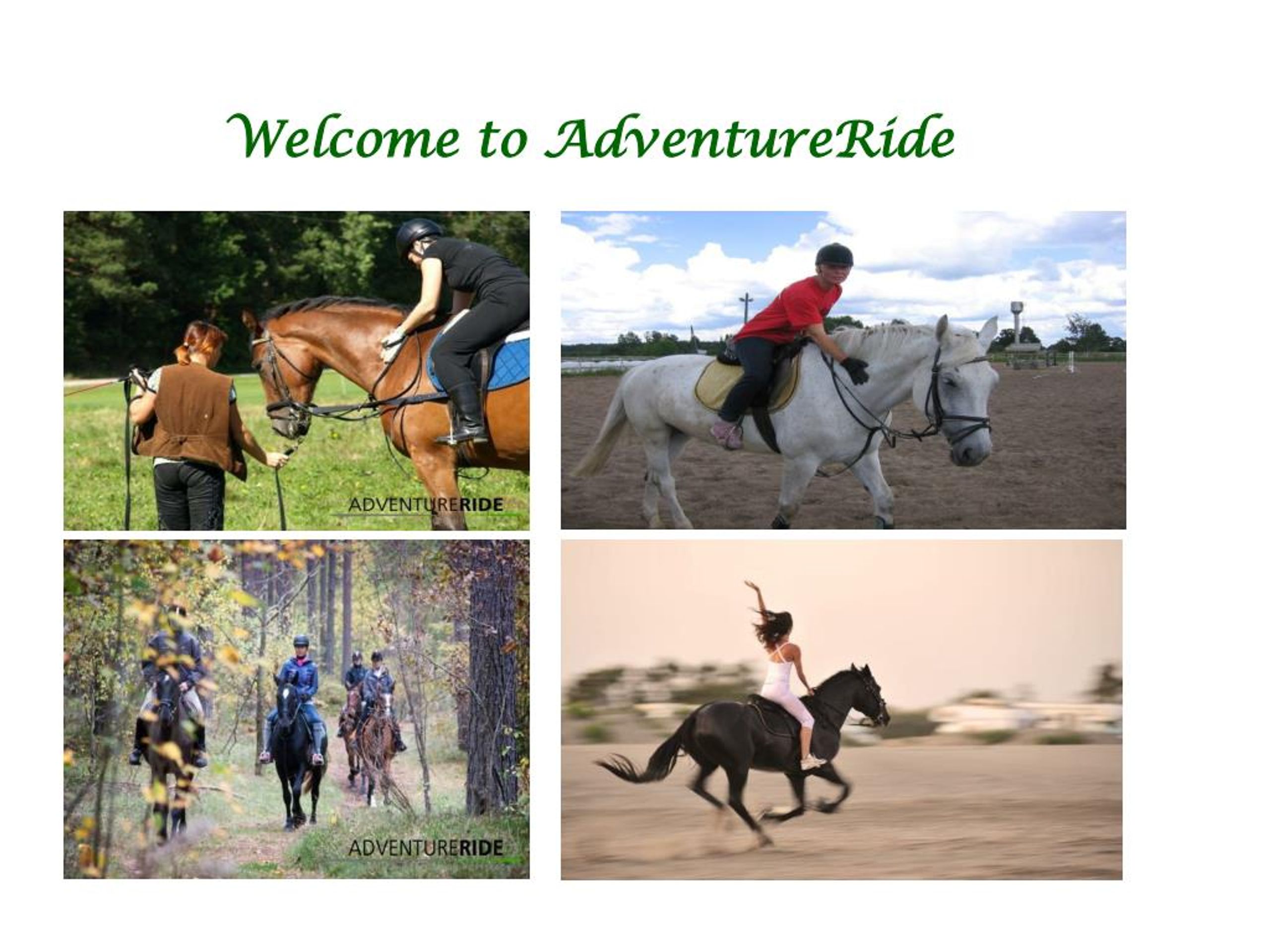 PPT - Top Equestrian Horseback Riding Routes PowerPoint Presentation ...