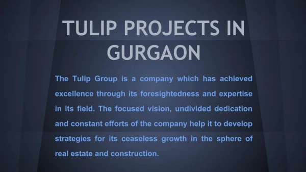tulip projects in gurgaon