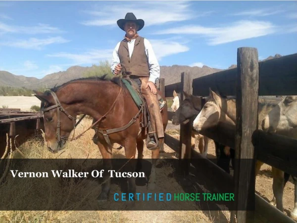Vernon Walker Of Tucson C E R T I F I E D HORSE TRAINER