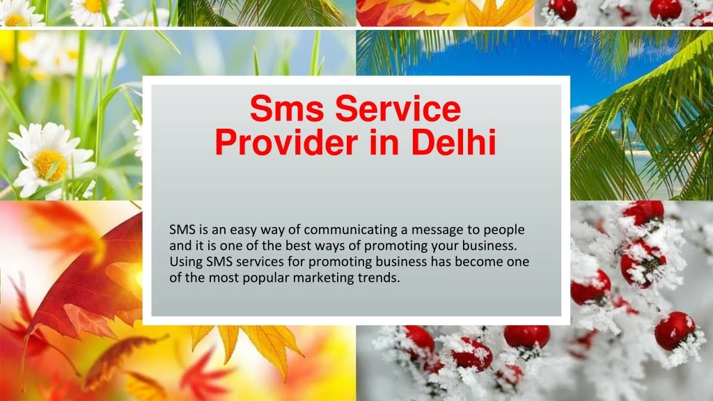 sms service provider in delhi