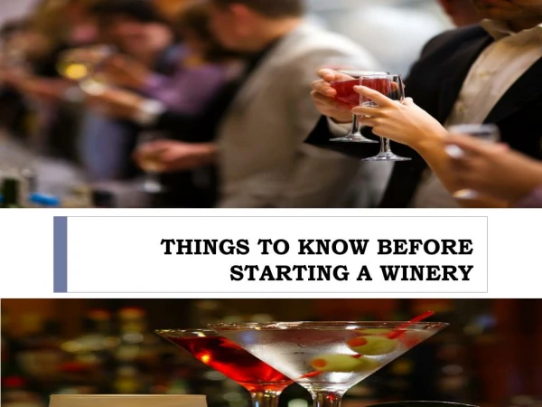 THINGS TO KNOW BEFORE STARTING A WINERY