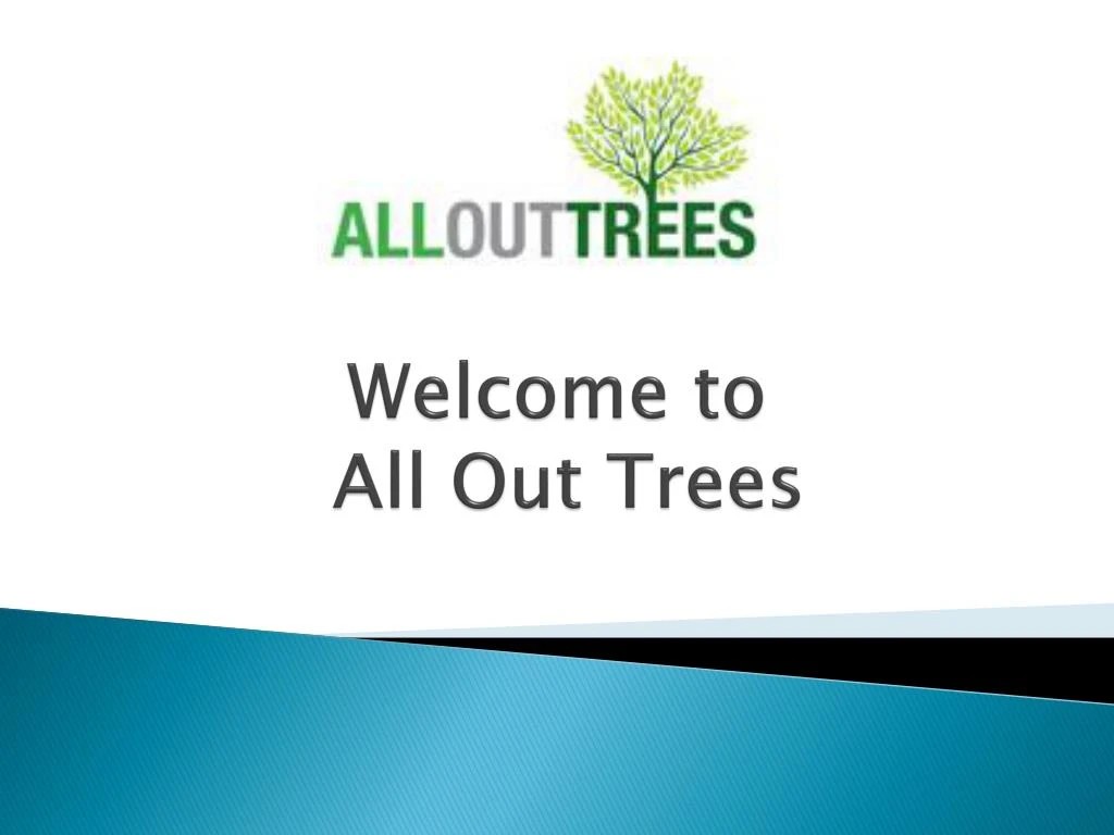 welcome to all out trees