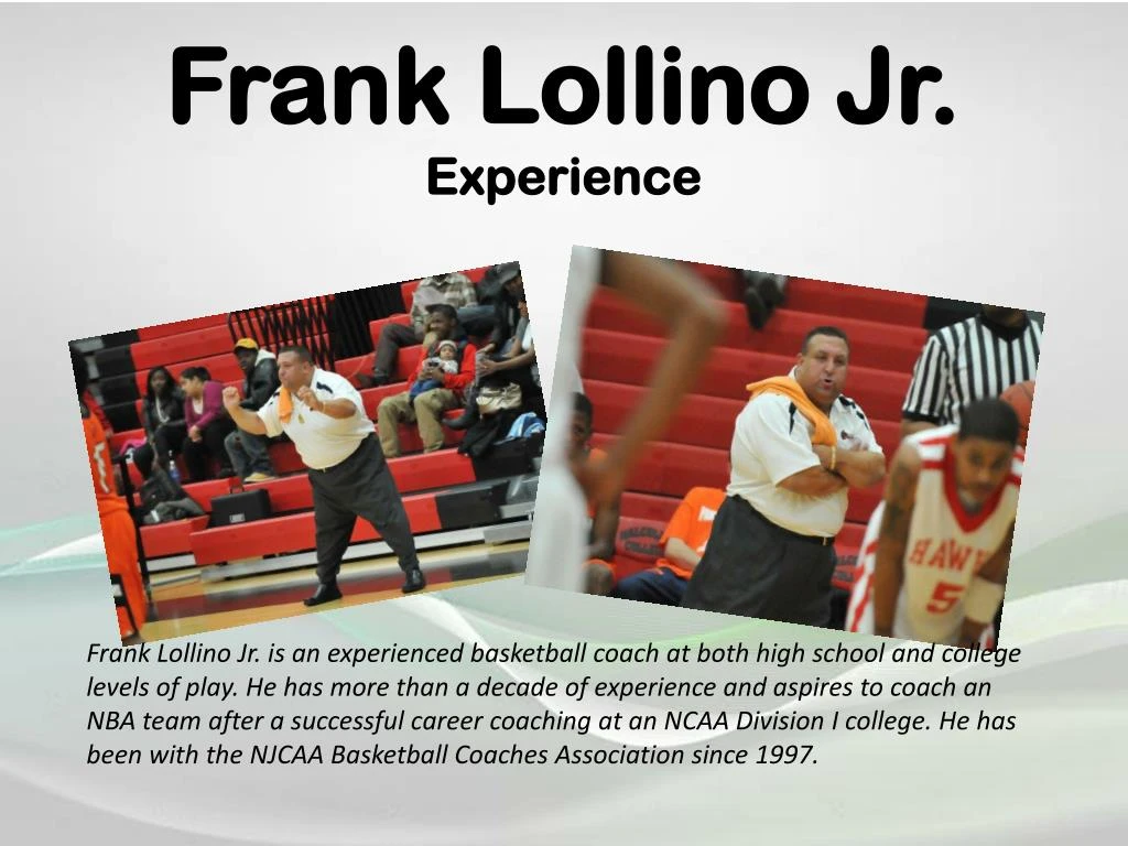 frank lollino jr experience