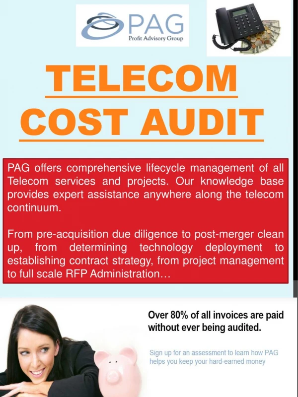 Telecom Audit Companies