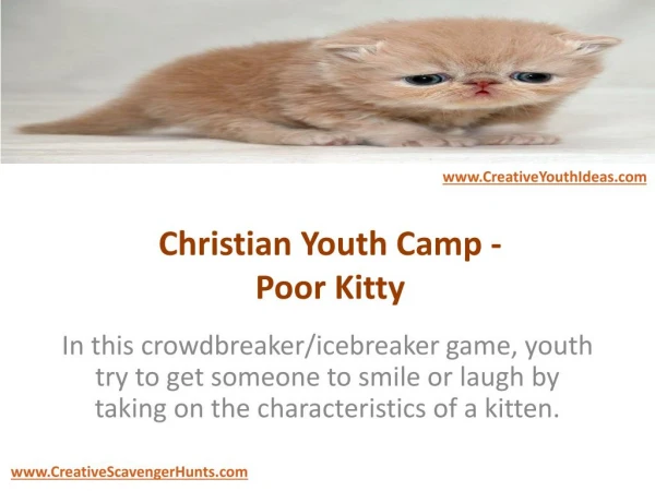 Christian Youth Camp - Poor Kitty