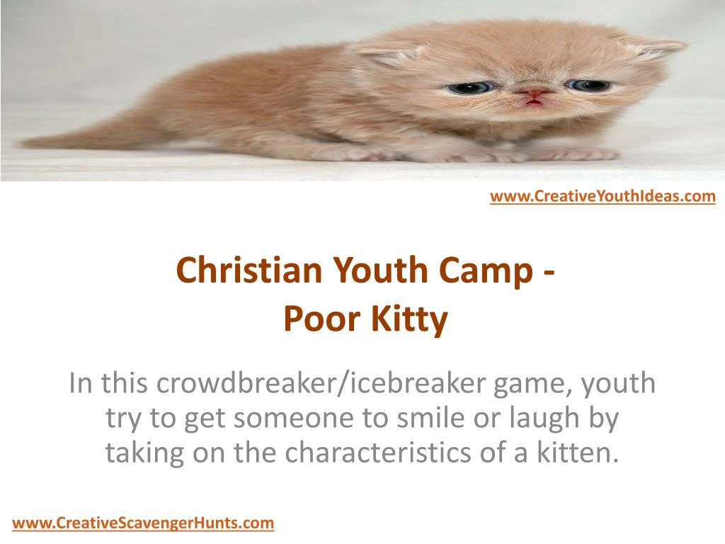 christian youth camp poor kitty