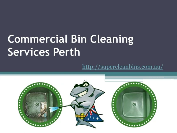 Commercial Bin Cleaning Services