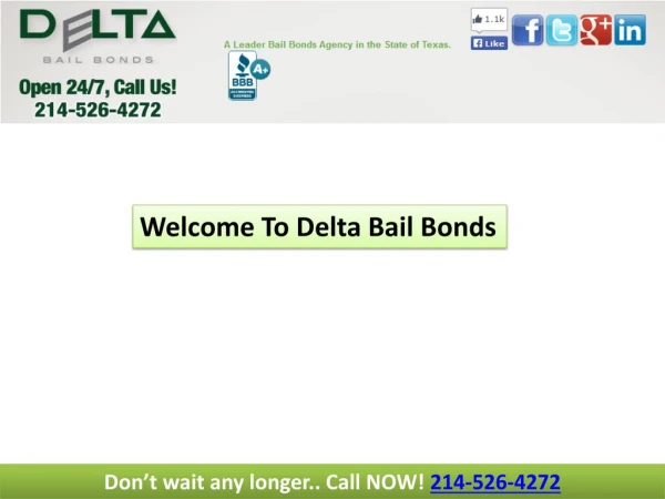 Collin county bail bonds