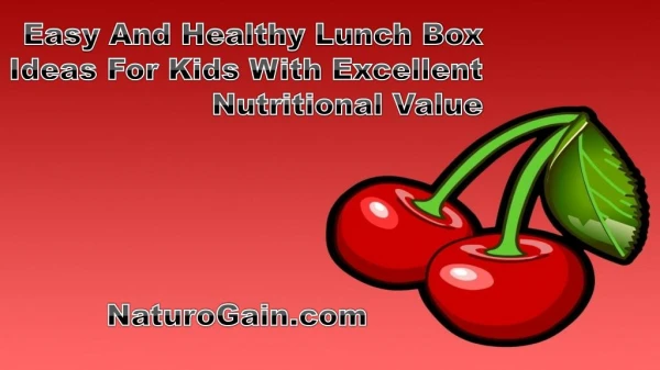 Easy And Healthy Lunch Box Ideas For Kids With Excellent Nut