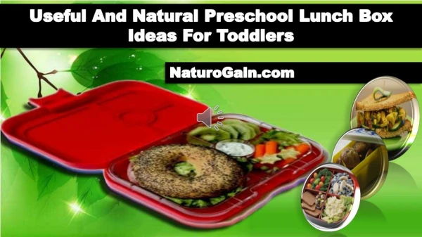 Useful And Natural Preschool Lunch Box Ideas For Toddlers