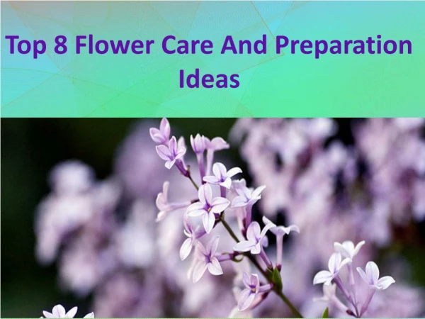 Top 8 Flower Care And Preparation Ideas