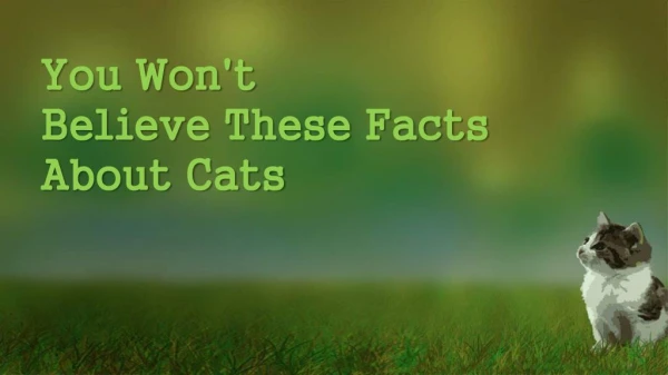 You Wont Believe These Facts About Cats