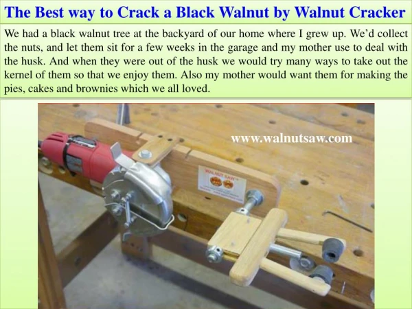The Best way to Crack a Black Walnut by Walnut Cracker