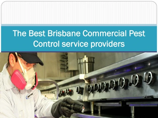The Best Brisbane Commercial Pest Control service providers
