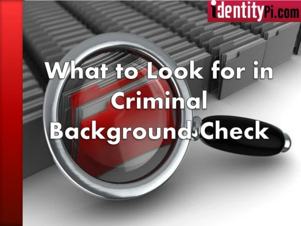 What to Look for in Criminal Background Check