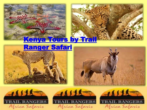 Kenya Tours by Trail Ranger Safari