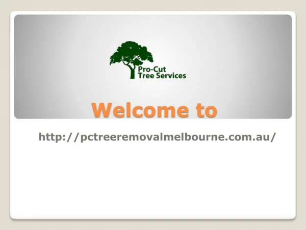 Tree Removal in Melbourne