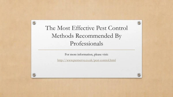 The Most Effective Pest Control Methods Recommended By Professionals