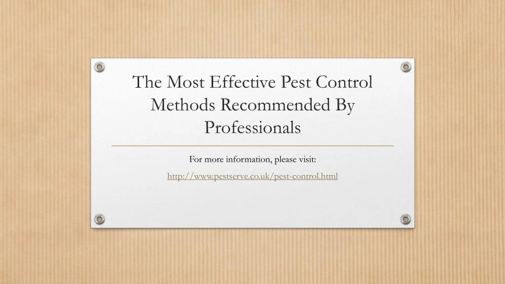 the most effective pest control methods recommended by professionals