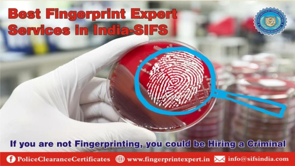 Best Fingerprint Expert Services in India- SIFS
