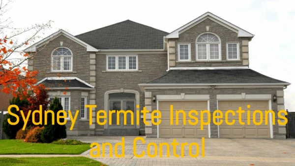 Sydney Termite Inspections and Control