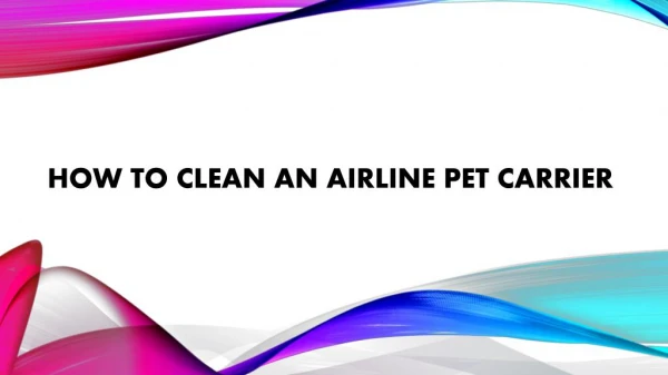 How to clean an airline pet carrier