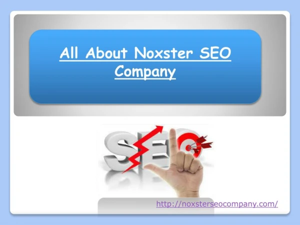 All About Noxster SEO Company