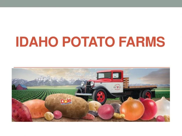 Idaho Potato Farms