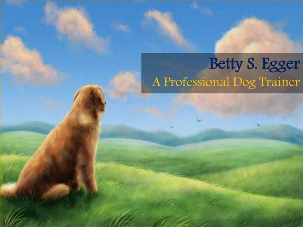 betty s egger a professional dog trainer
