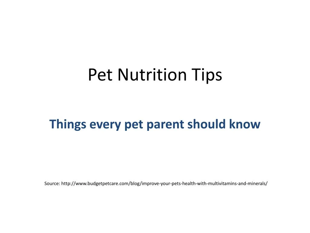 pet nutrition tips