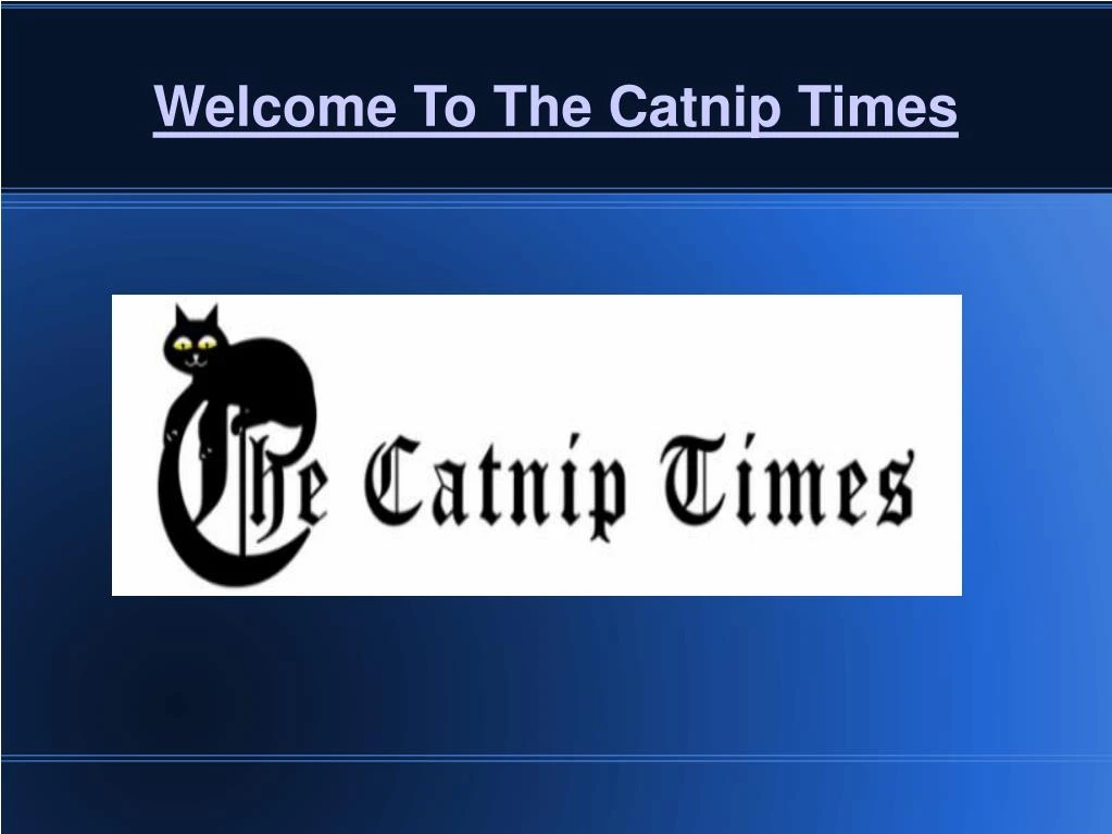 welcome to the catnip times