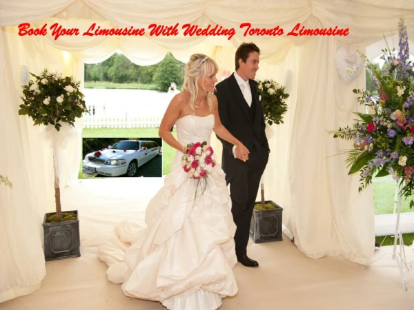 Wedding Limousine Services Toronto