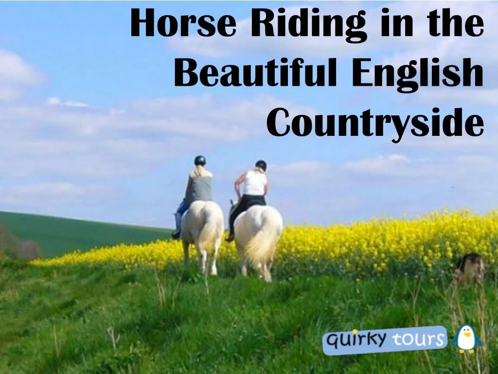 horse riding in the beautiful english countryside