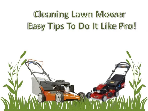 Cleaning Lawn Mower – Easy Tips To Do It Like Pro!