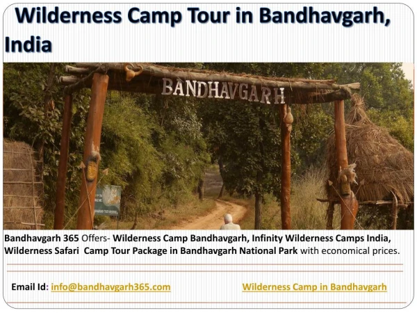 Wilderness Camp Tour in Bandhavgarh, India