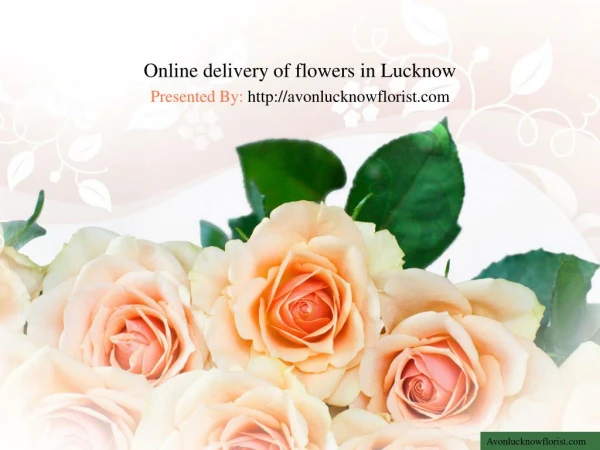 Avon Lucknow Florist