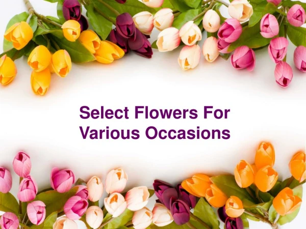 Select Flowers For Various Occasions