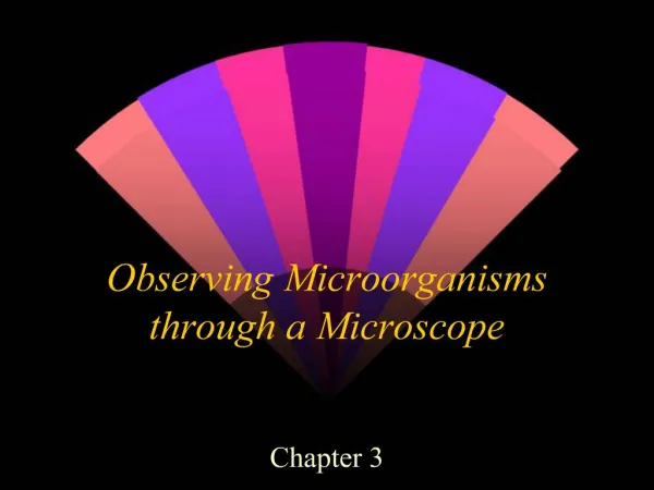 Observing Microorganisms through a Microscope