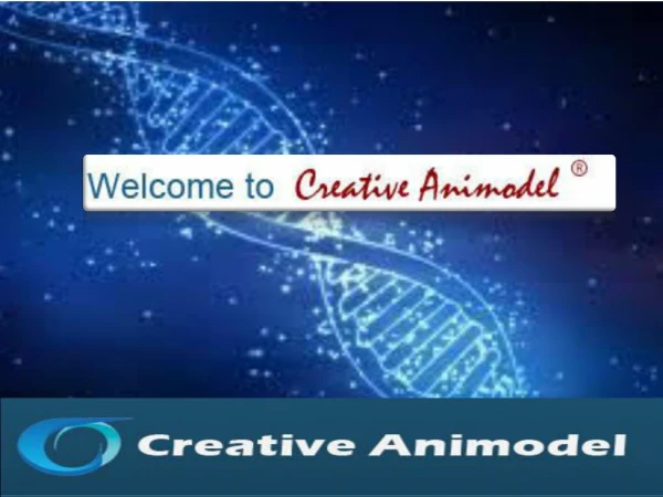 creative-animodel-inroduction-to-a-biomedical-research-organization