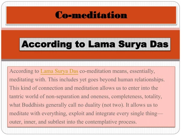 Co-meditation According to Lama Surya Das