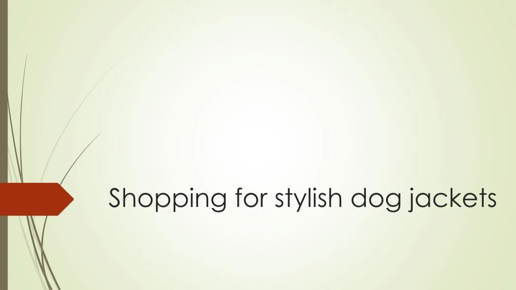 shopping for stylish dog jackets