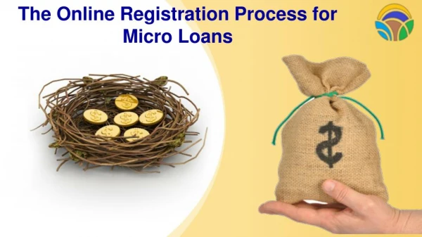 Online Registration Process for Micro Loans