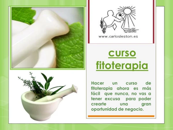 curso de reflexologia