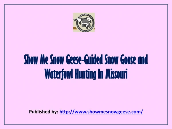 Show Me Snow Geese-Guided Snow Goose And Waterfowl Hunting In Missouri