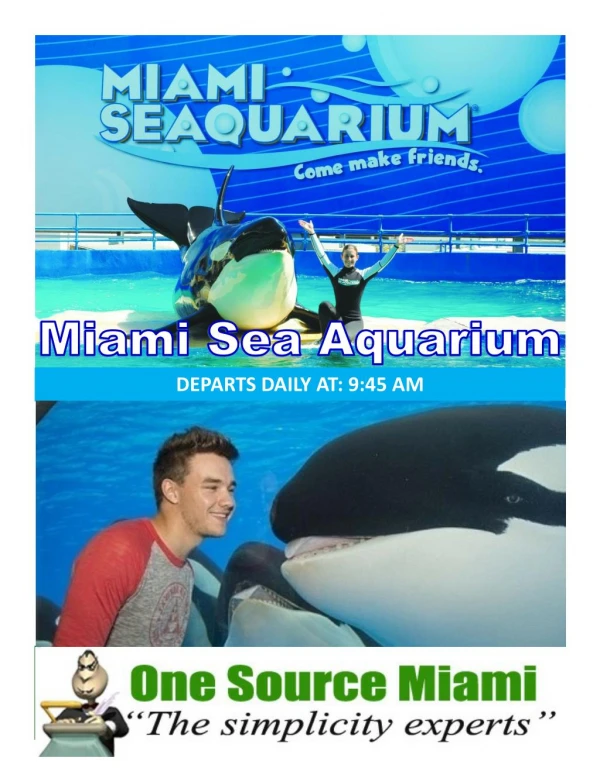 Miami sea aquarium
