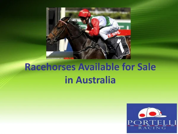 Racehorses Available for Sale in Australia